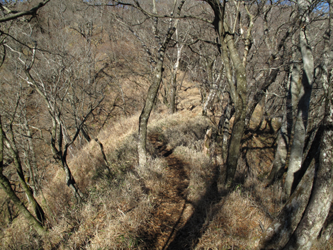 20171207hike (98)